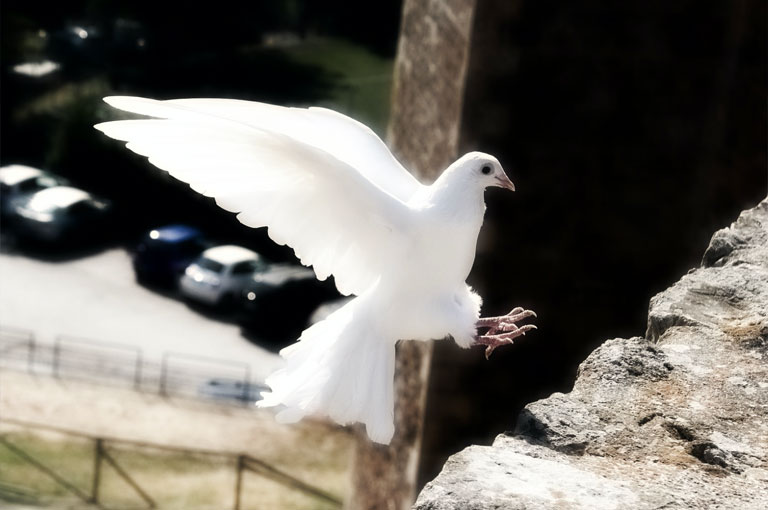 DAX: Soft Landing möglich?